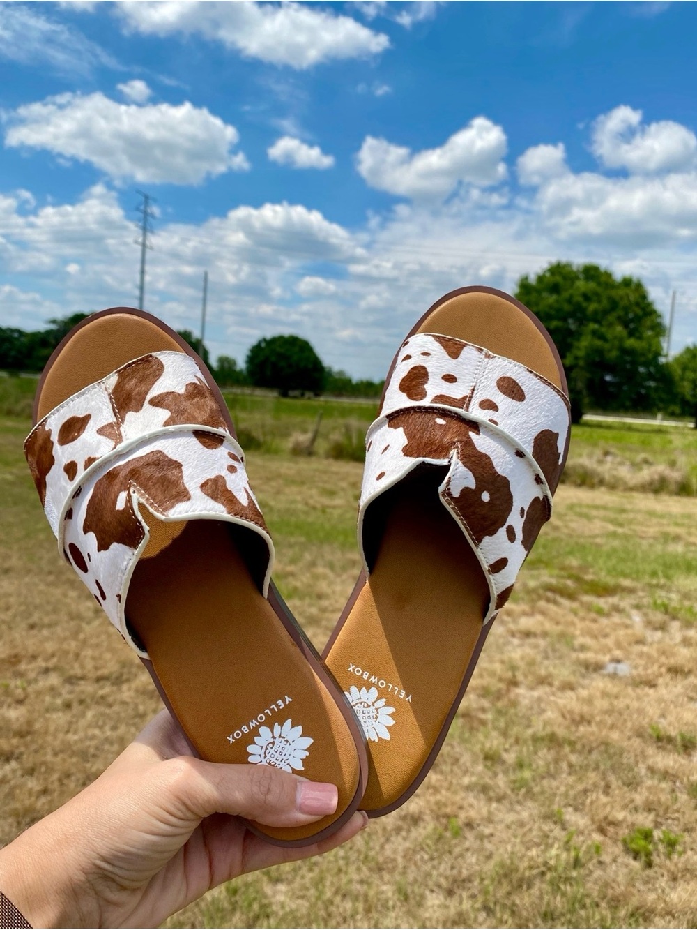 Yellow Box Cowhide Slide Sandals - Brown & White size 7.5